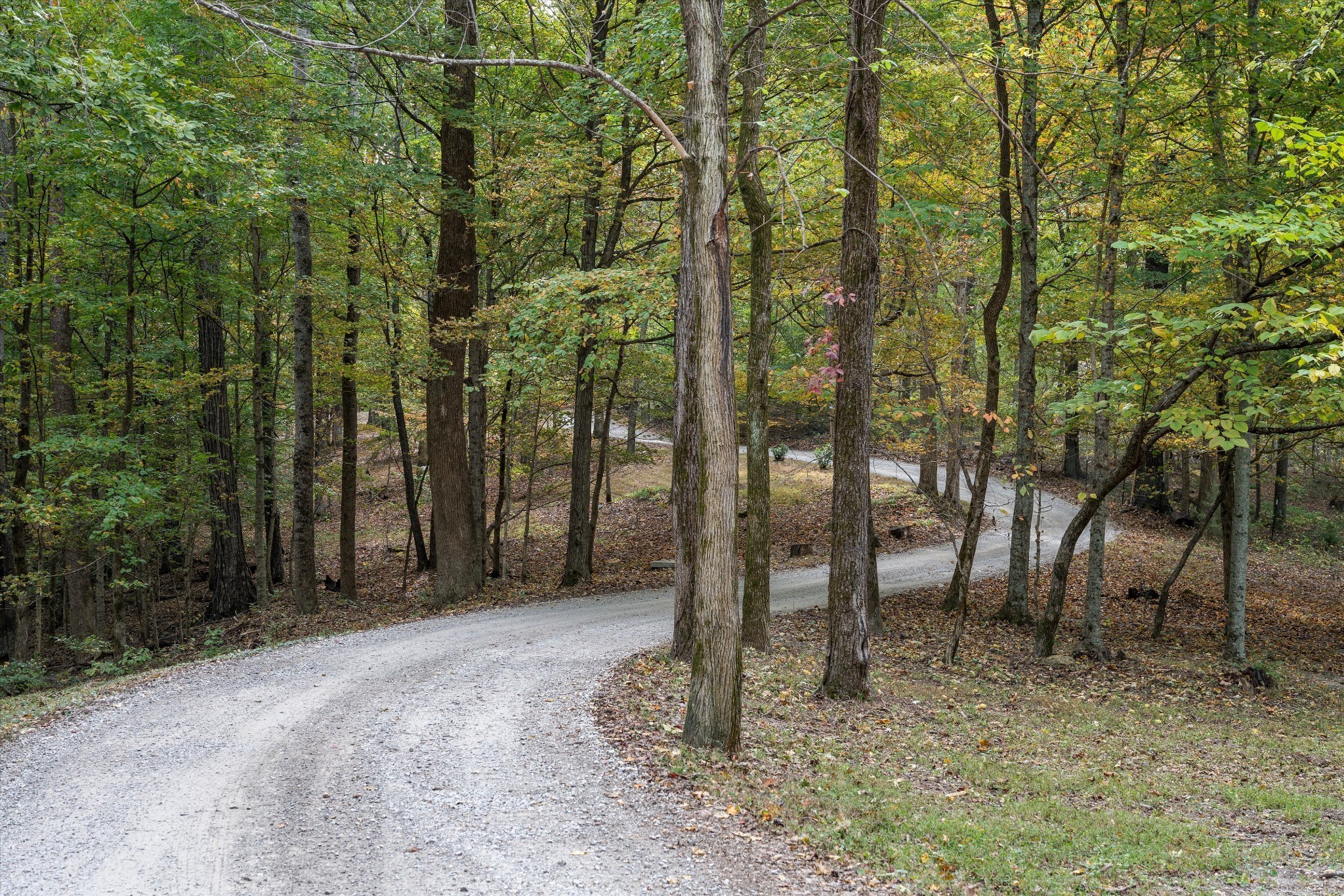 5180 Fire Tower Rd