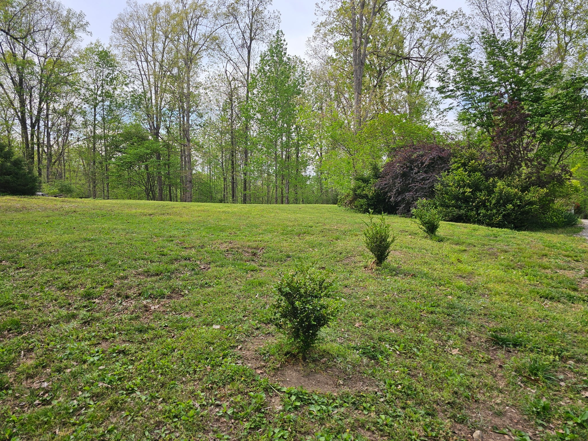 5180 Fire Tower Rd
