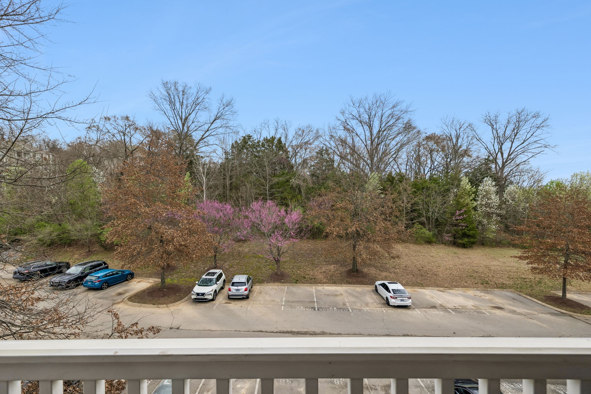 8221 Lenox Creekside Dr Unit: B12
