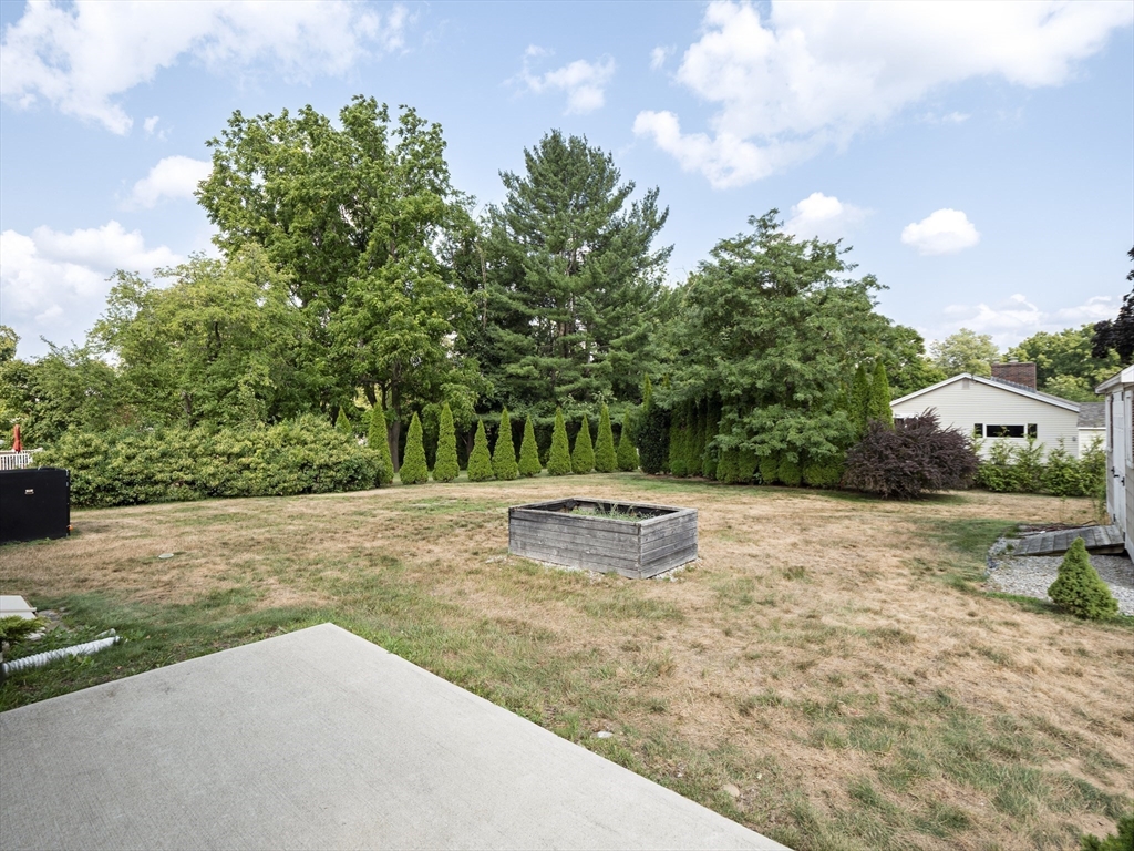 85 Dalton Rd