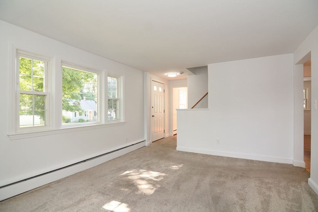 55 Cameron Rd