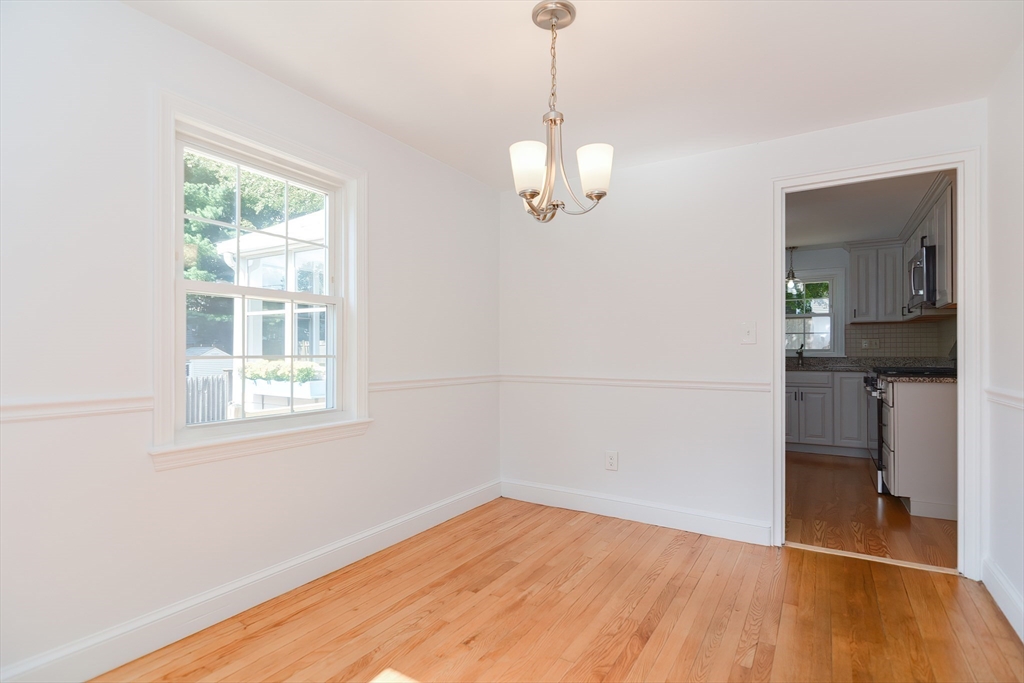 55 Cameron Rd