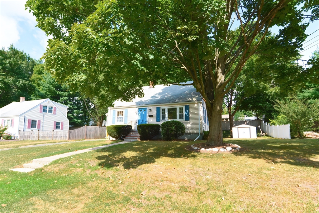 55 Cameron Rd