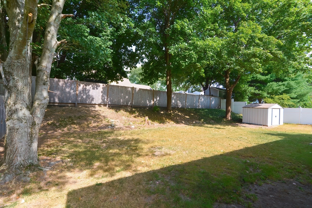 55 Cameron Rd