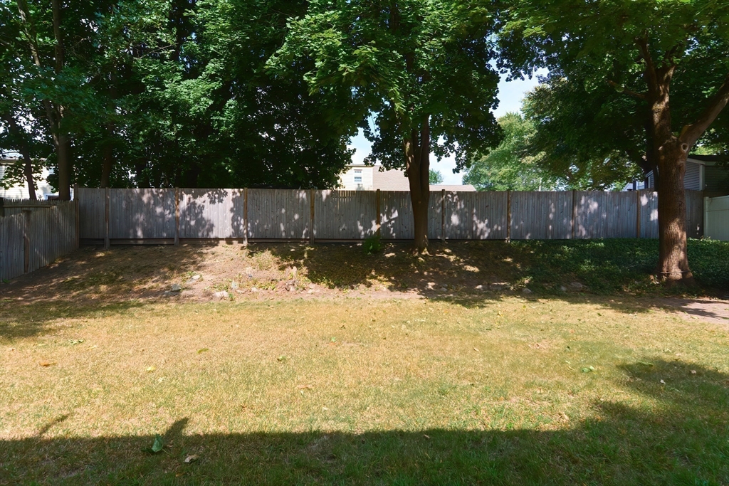 55 Cameron Rd