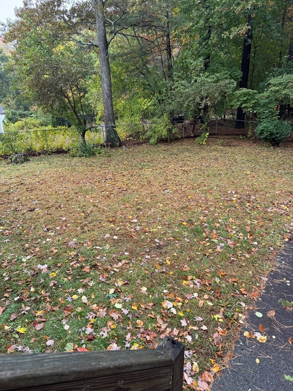 6 Forest St. # 2, Wilmington Unit: 2