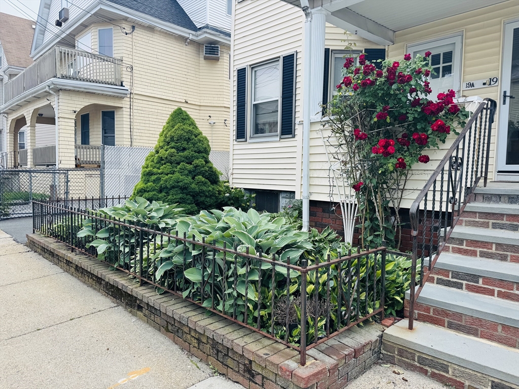 19 Bellingham Ave # 19