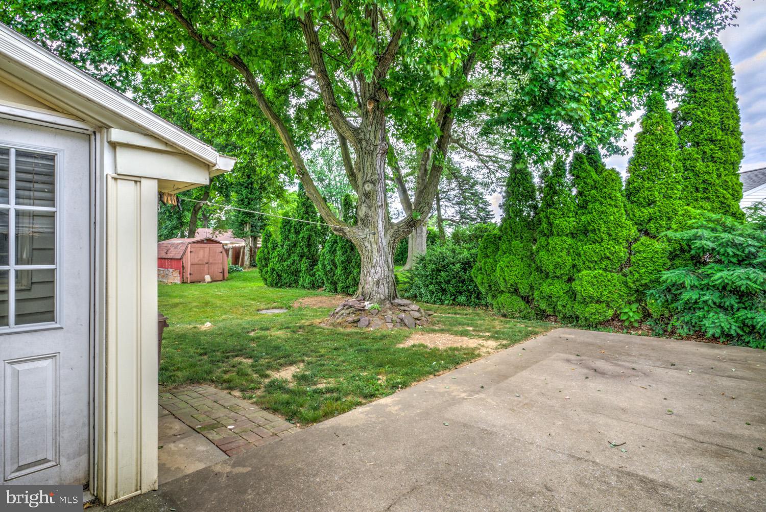 52 WILSON AVENUE