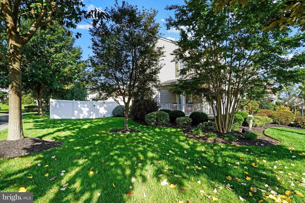 111 BASIL STREET