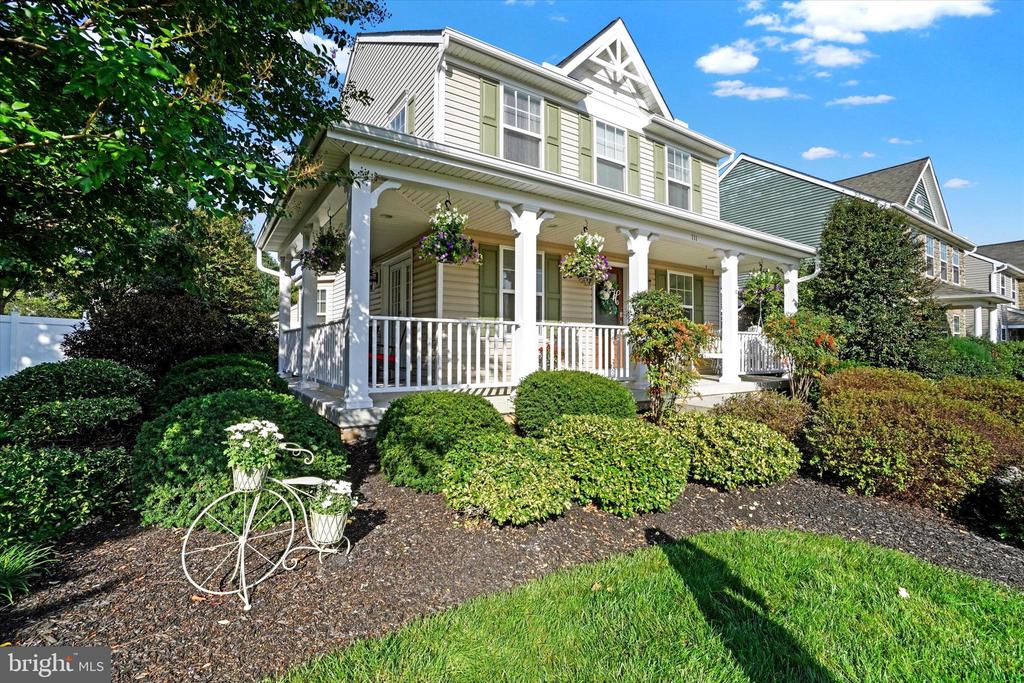 111 BASIL STREET