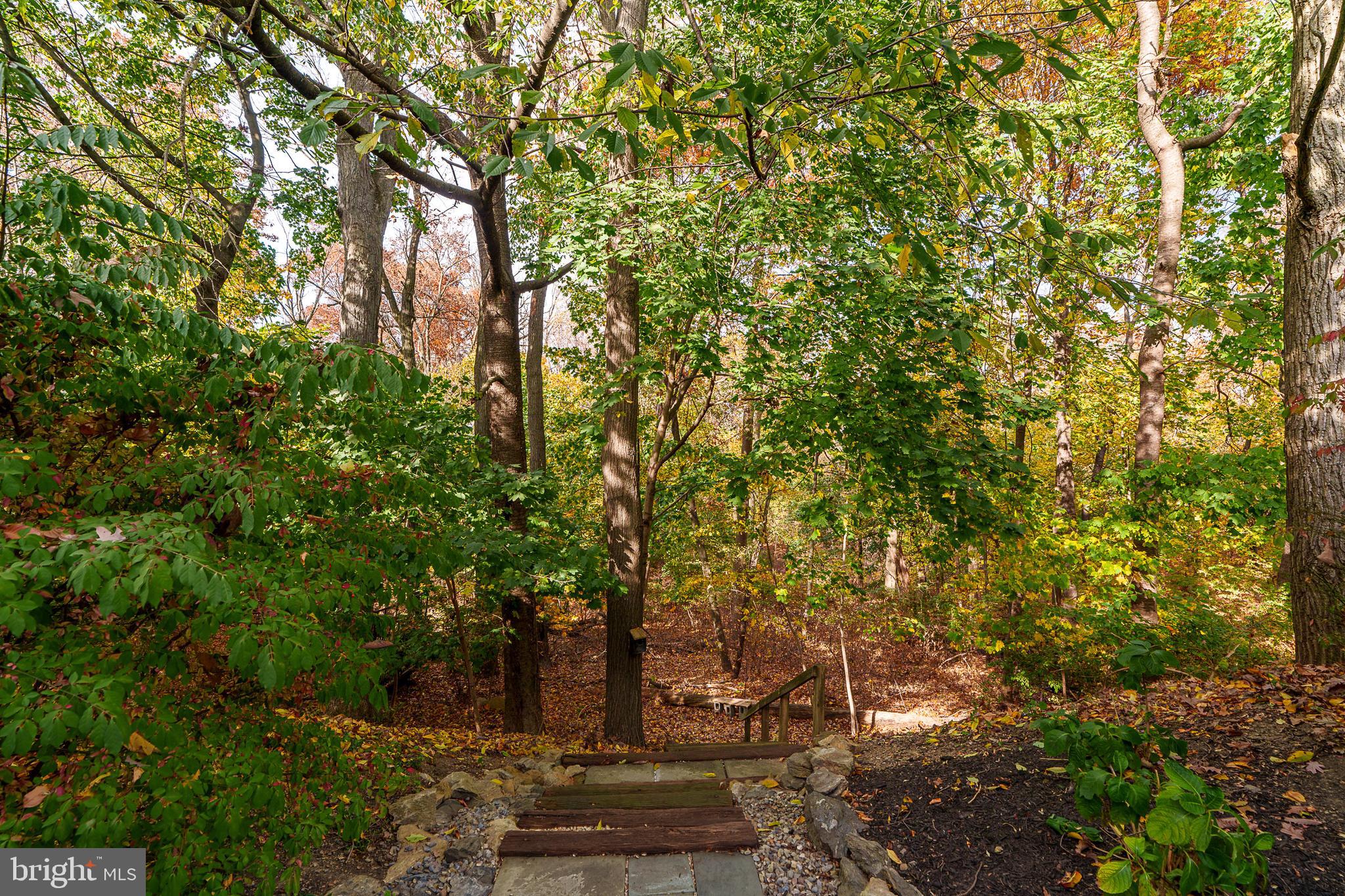 231 OWL HILL ROAD