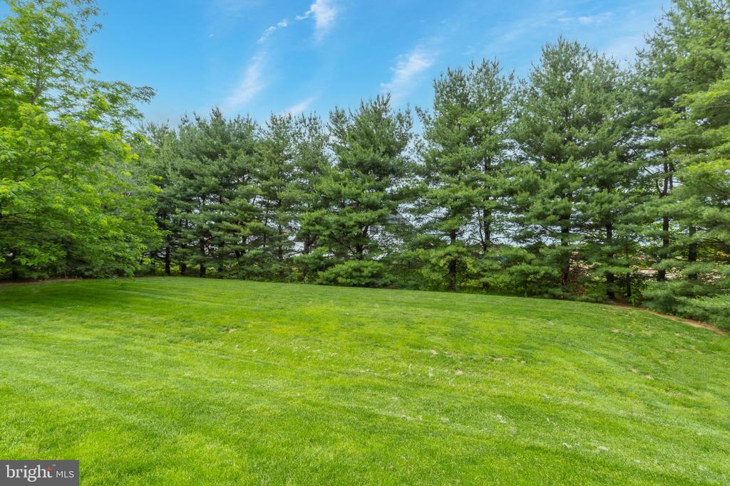 311 SARSEN DRIVE