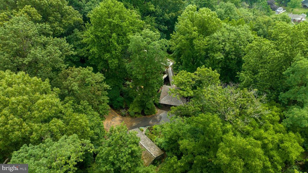 2487 CHESTNUT RIDGE DRIVE