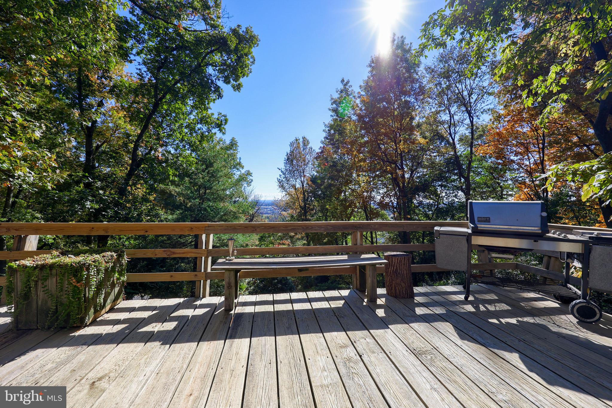 2487 CHESTNUT RIDGE DRIVE