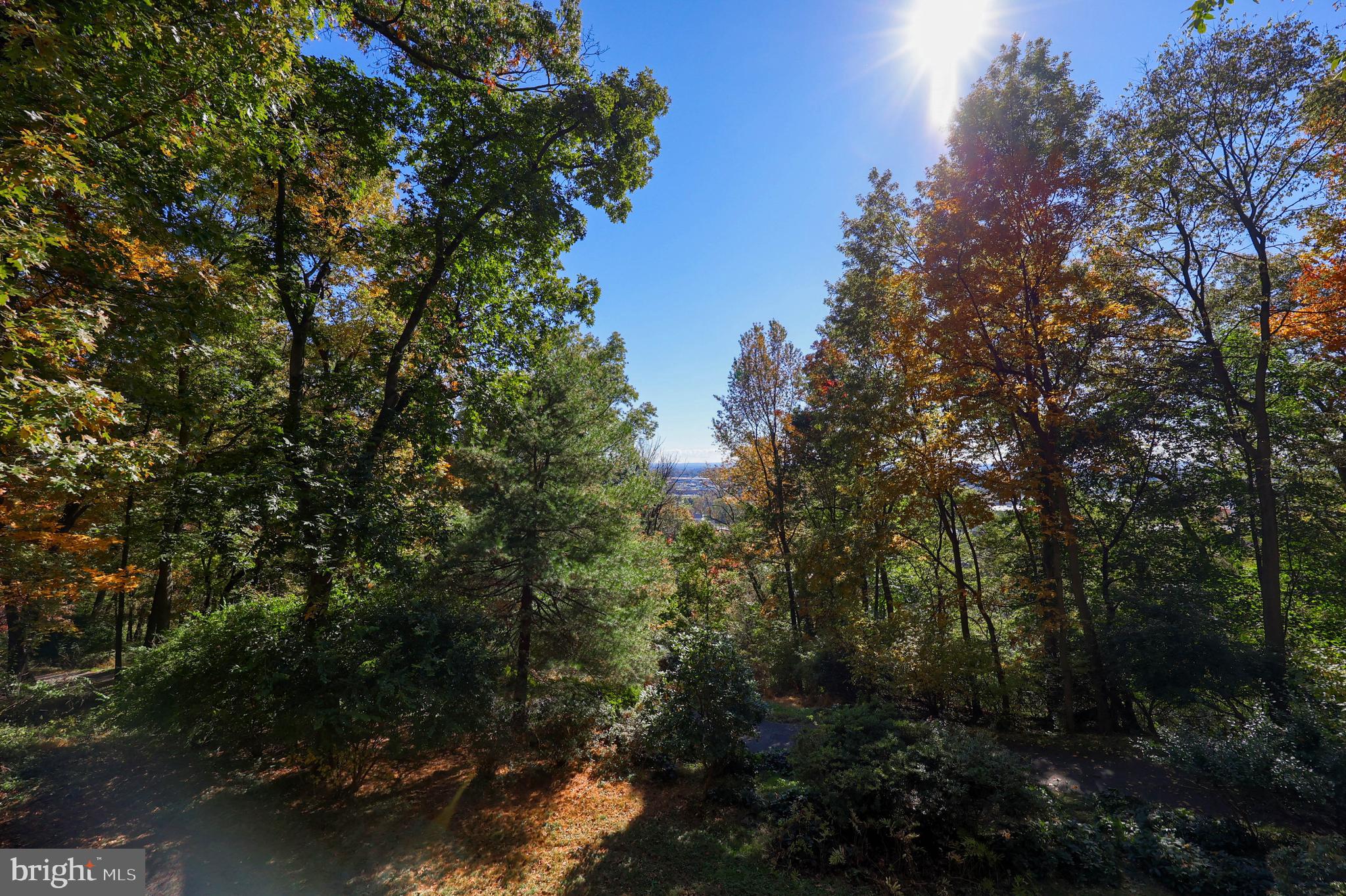 2487 CHESTNUT RIDGE DRIVE