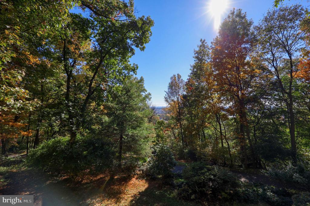 2487 CHESTNUT RIDGE DRIVE