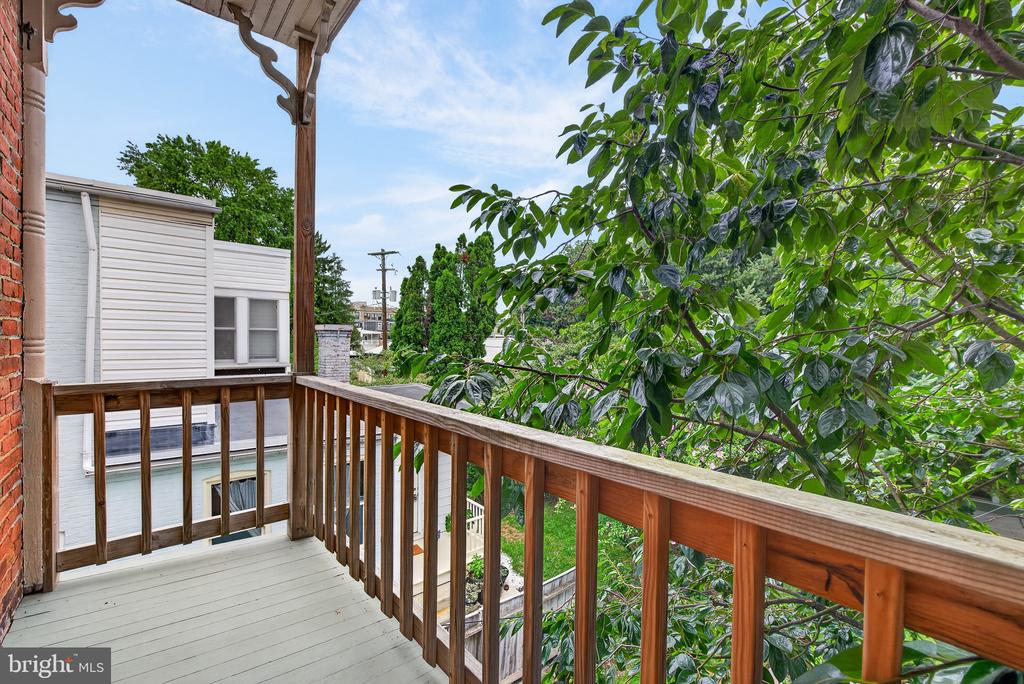 225 ELM STREET