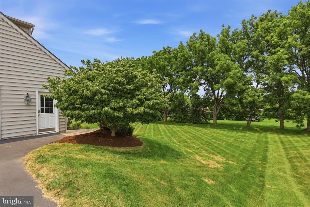 379 ECKER DRIVE