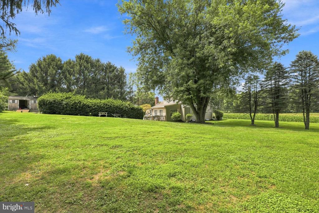 20 SASSAFRAS ROAD