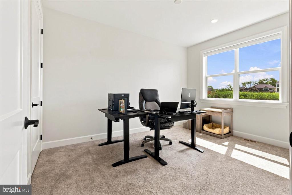 585 DOLLY DRIVE