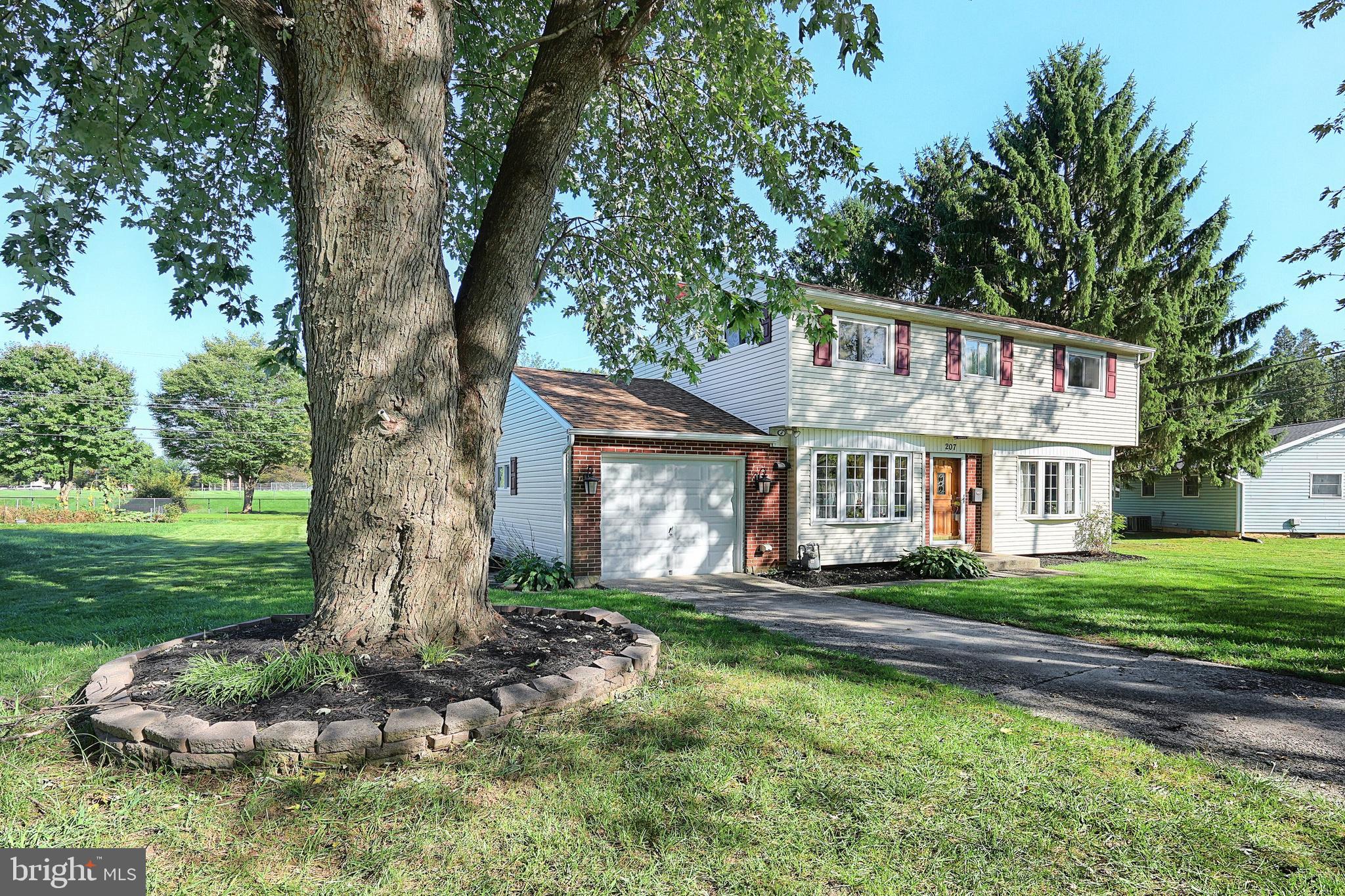207 HEISTAND ROAD