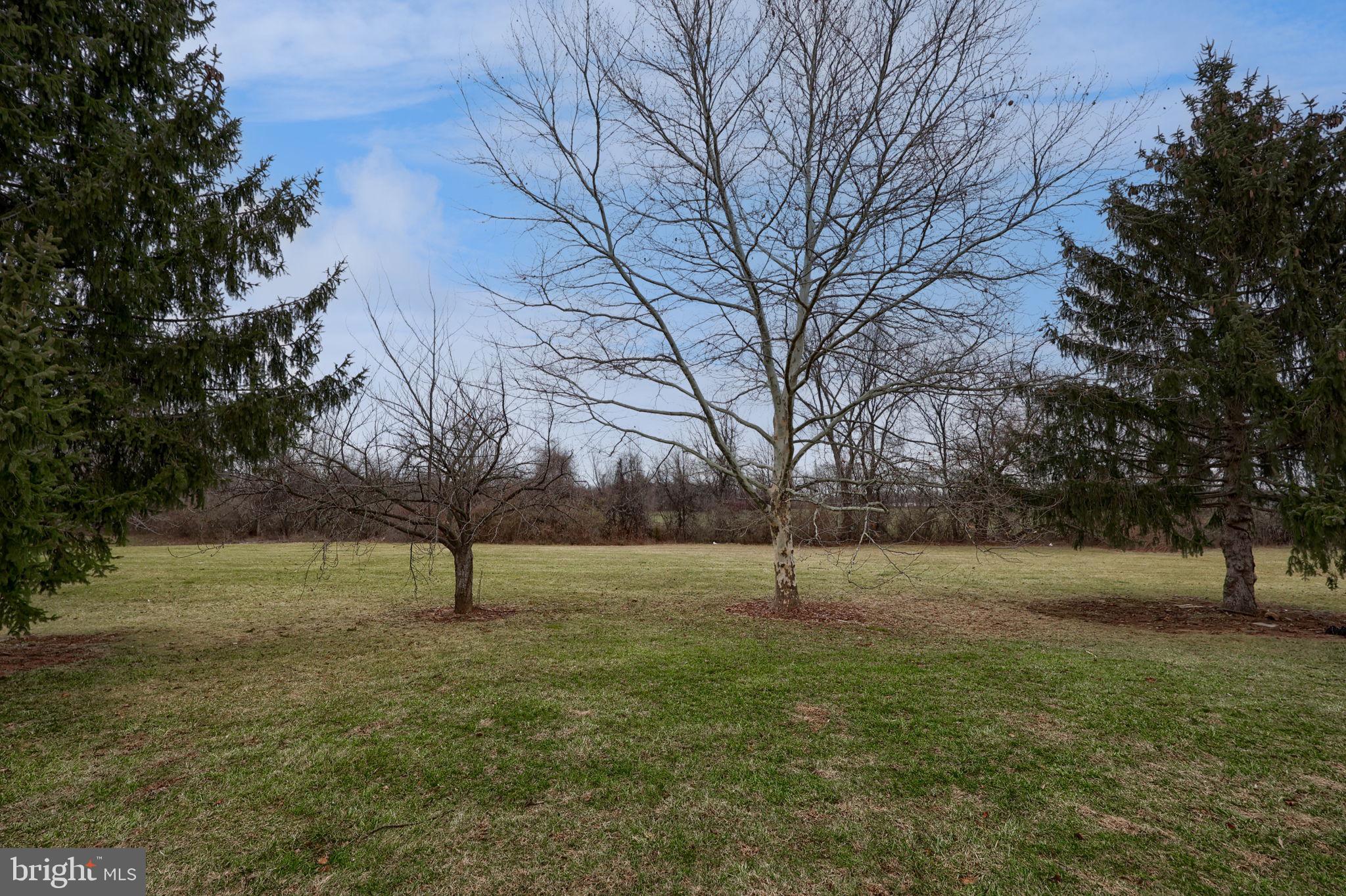 98 LEXTON DRIVE