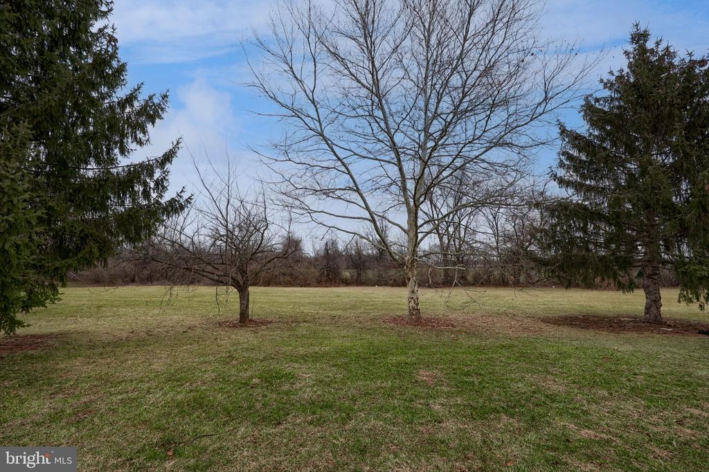 98 LEXTON DRIVE