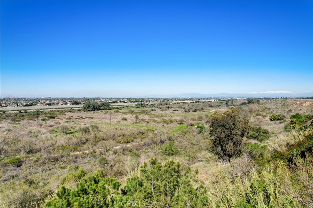 2243 Pacific Avenue 12