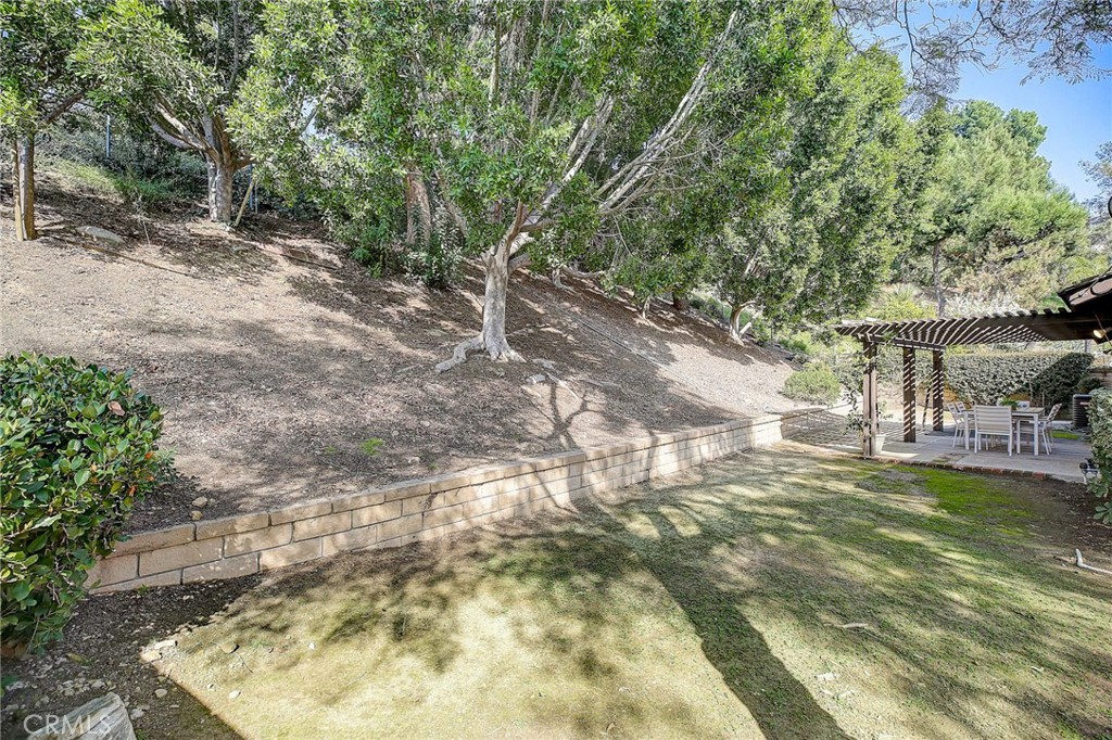 3221 Falcon Ridge Road