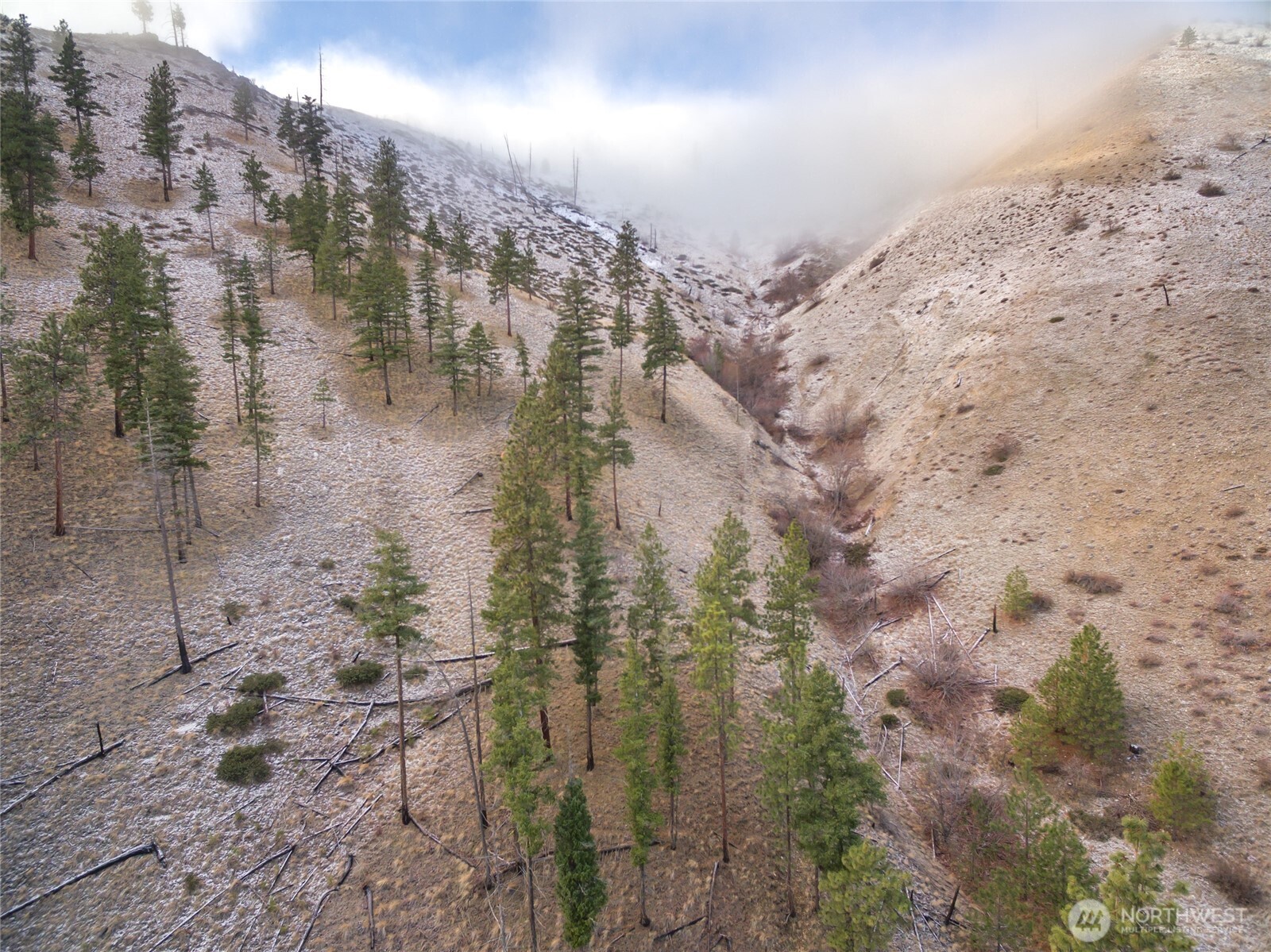 244 Howling Moon Lane