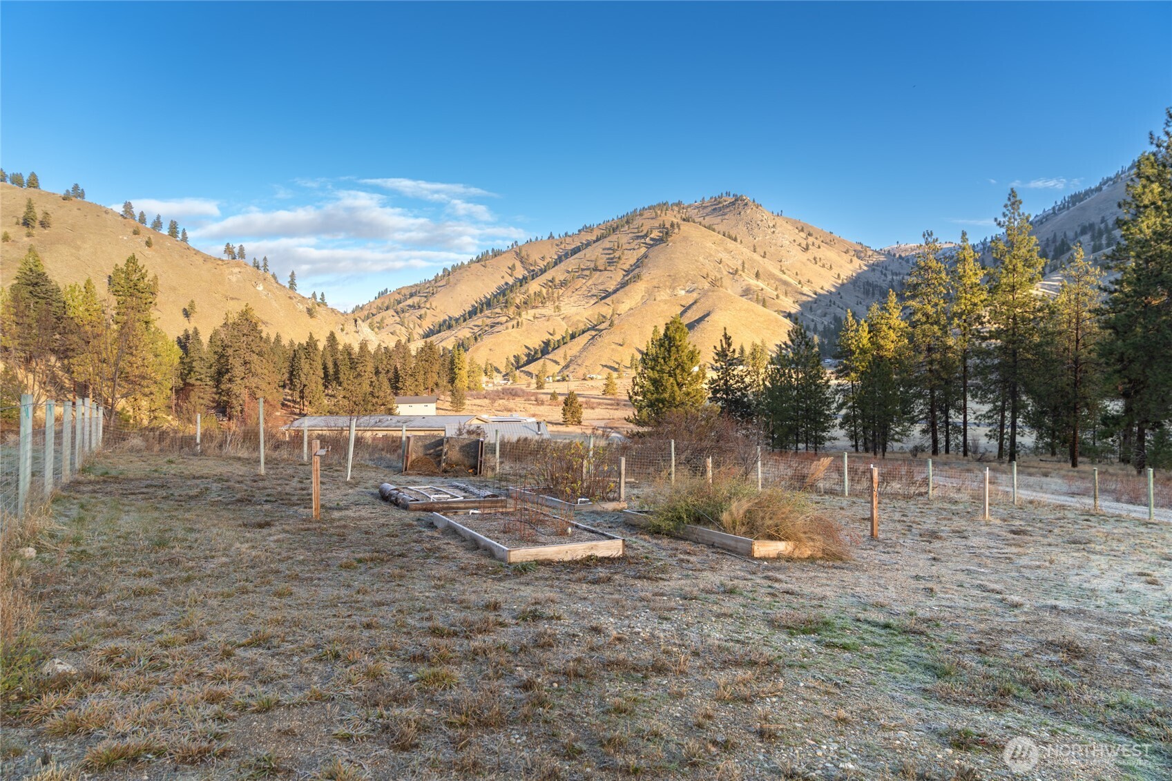 244 Howling Moon Lane