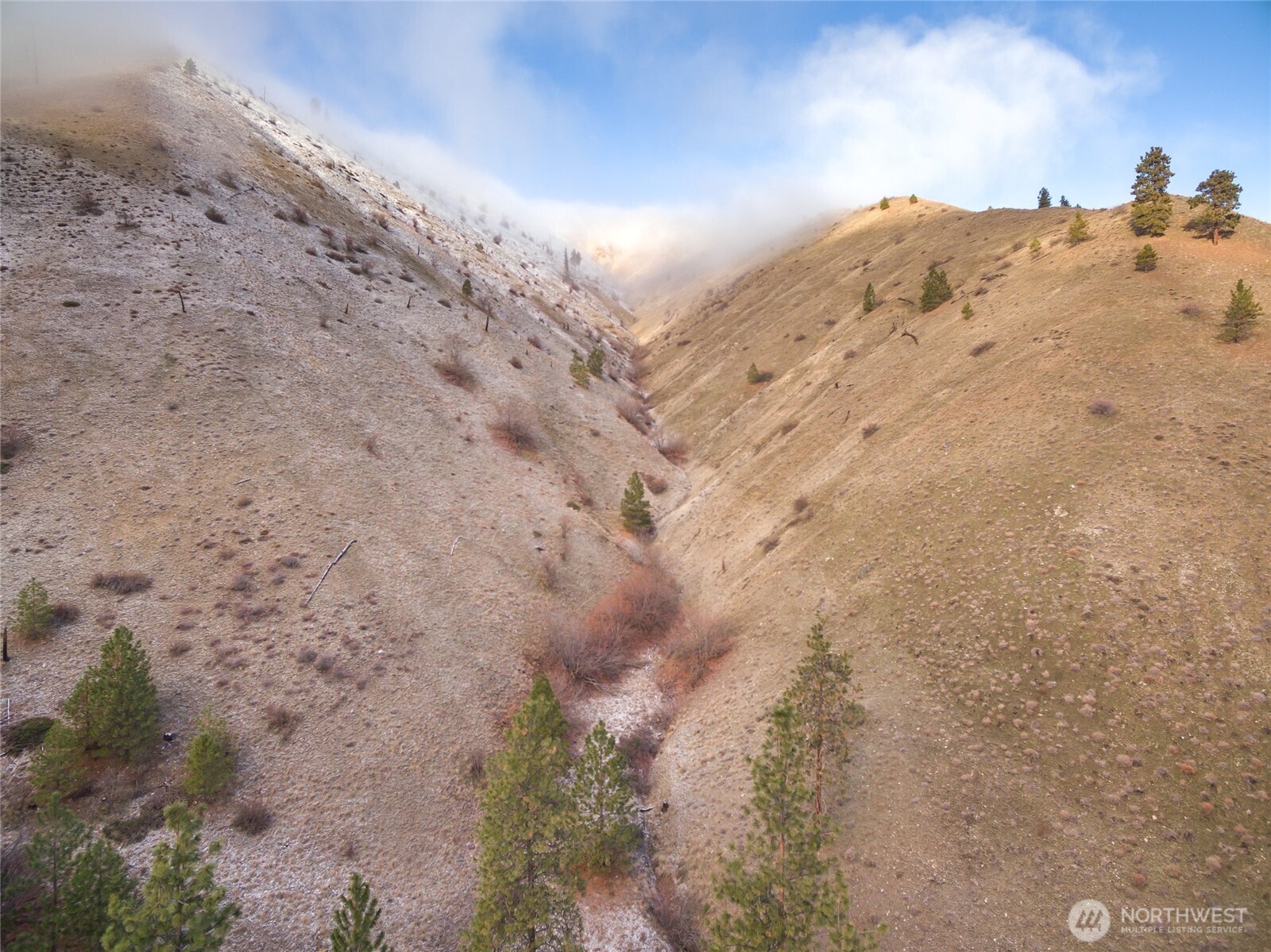 244 Howling Moon Lane