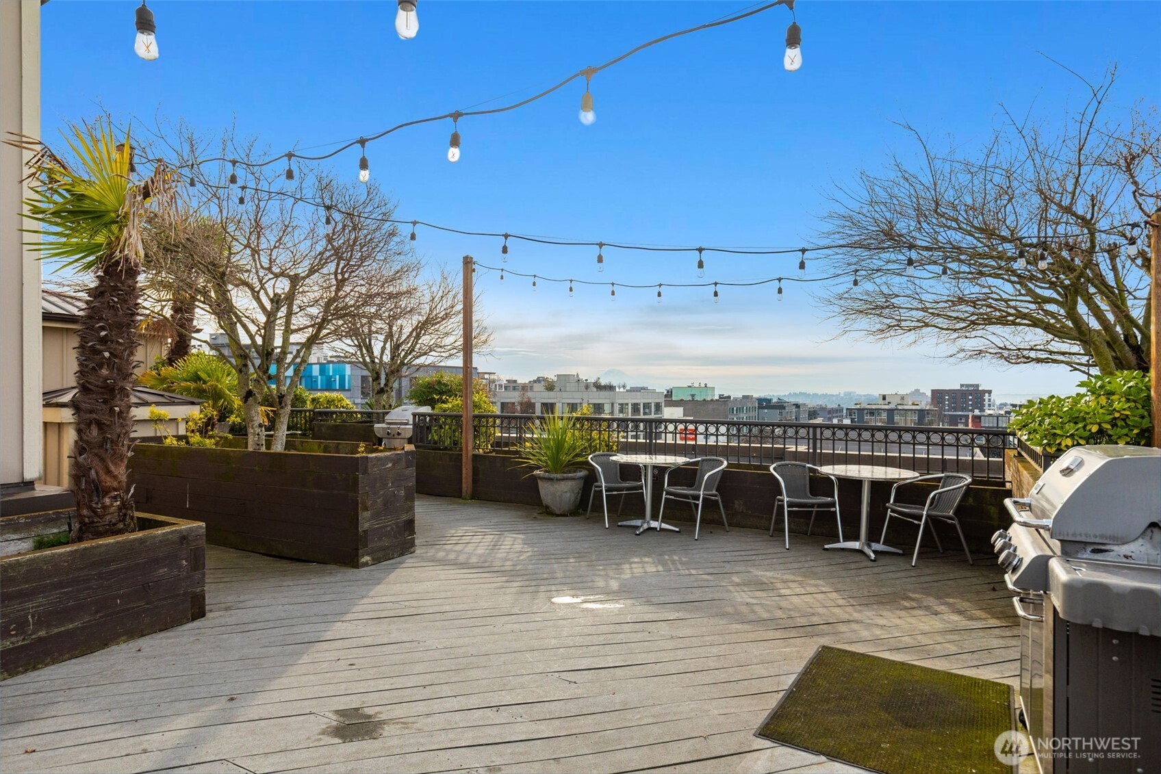 1125 E Olive Street Unit: 504