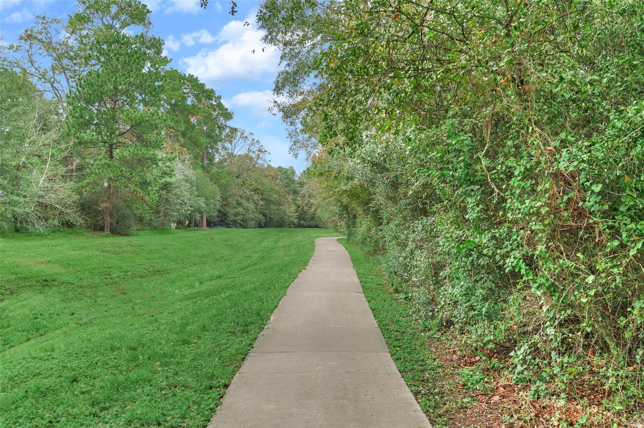 3500 Tangle Brush Drive # 25