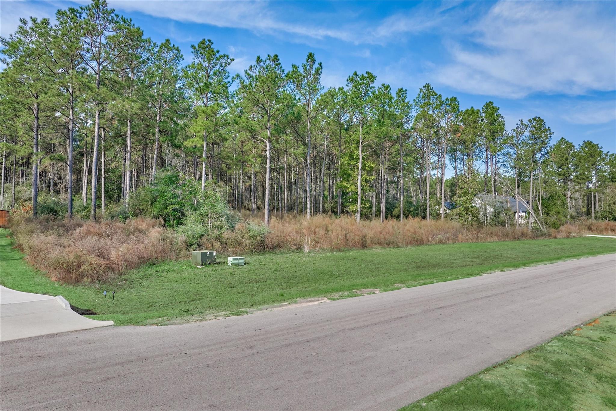 15929 Wood Grove Way