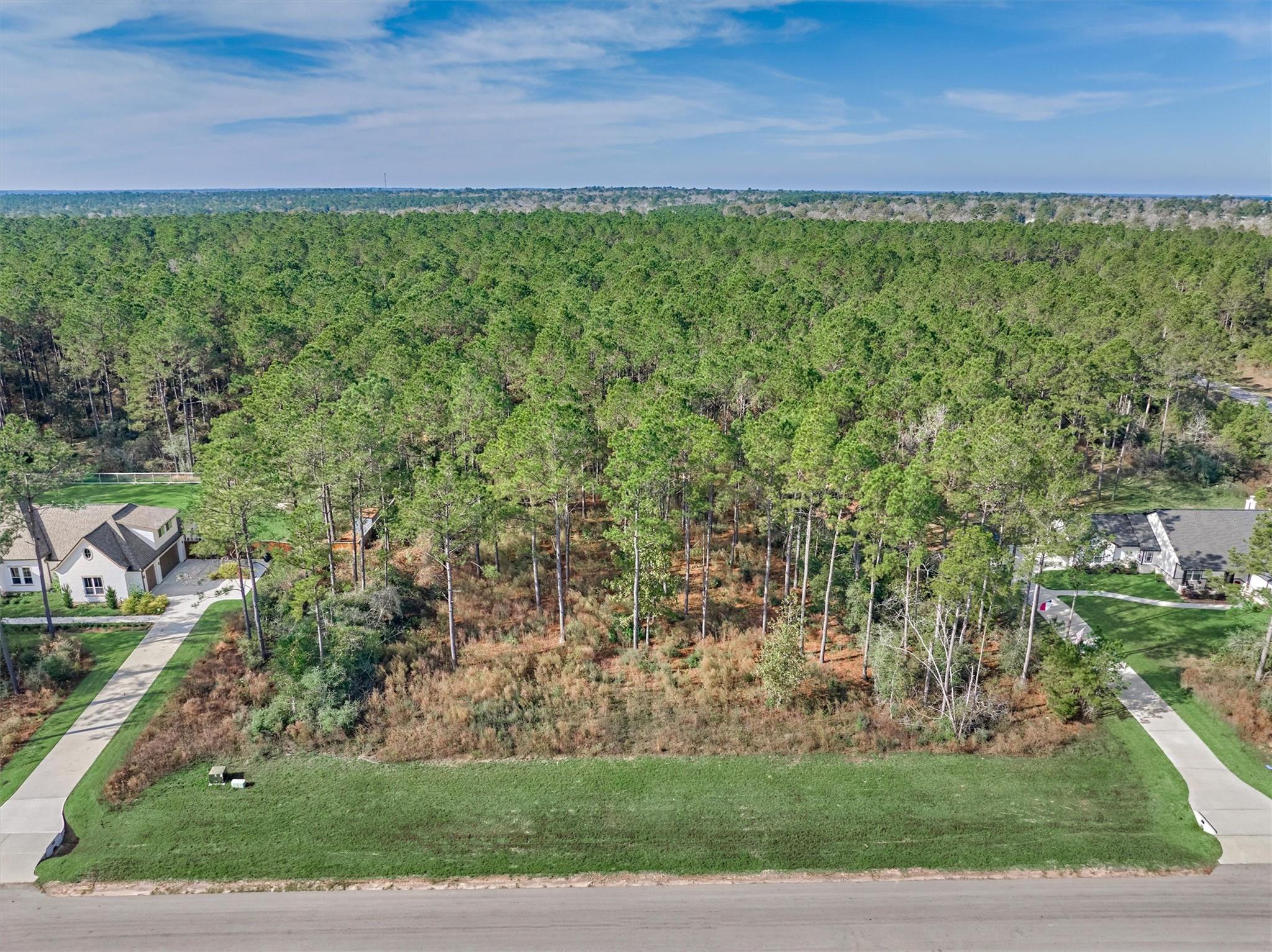 15929 Wood Grove Way