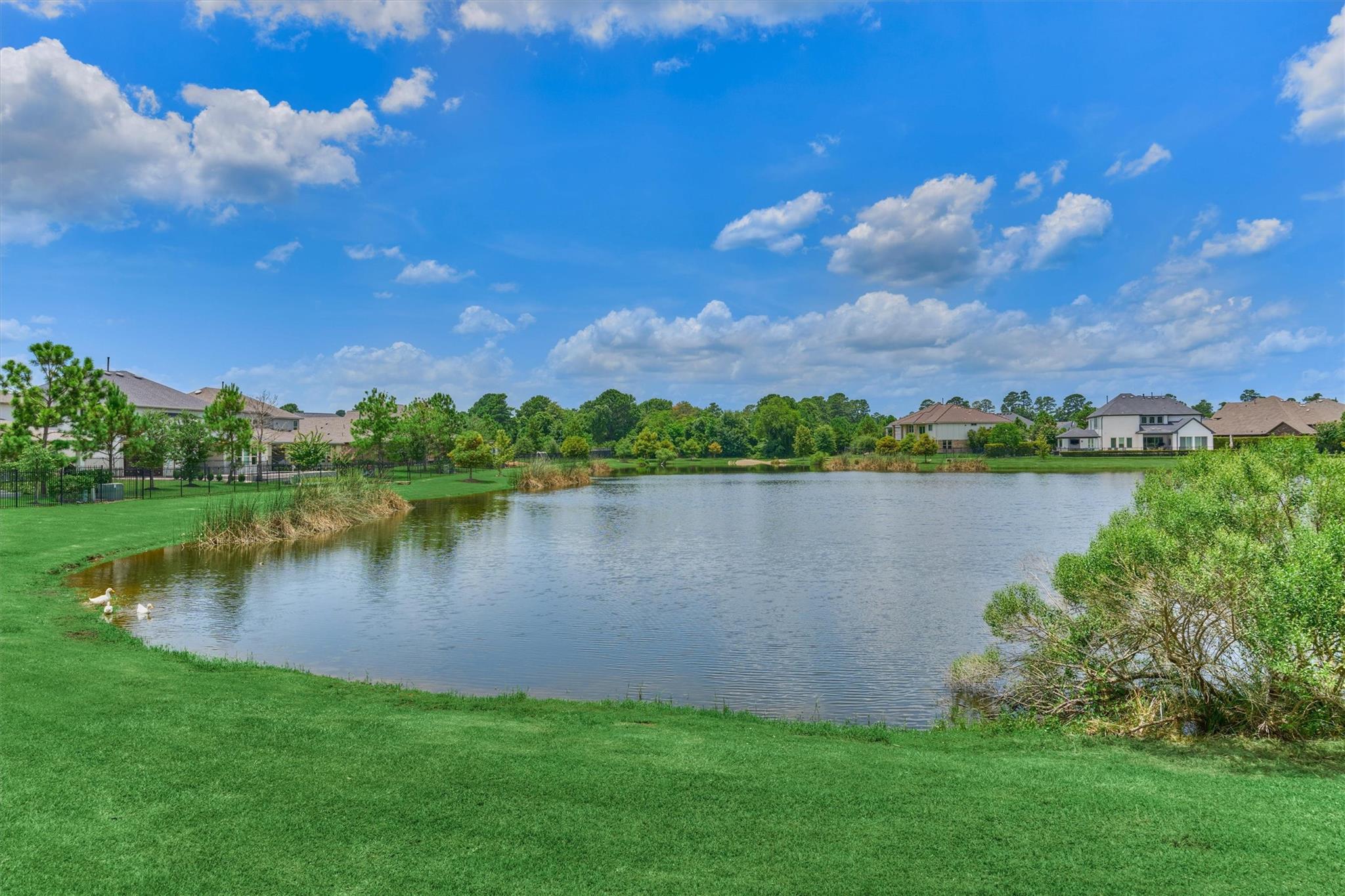 11 Shumard Oak Drive