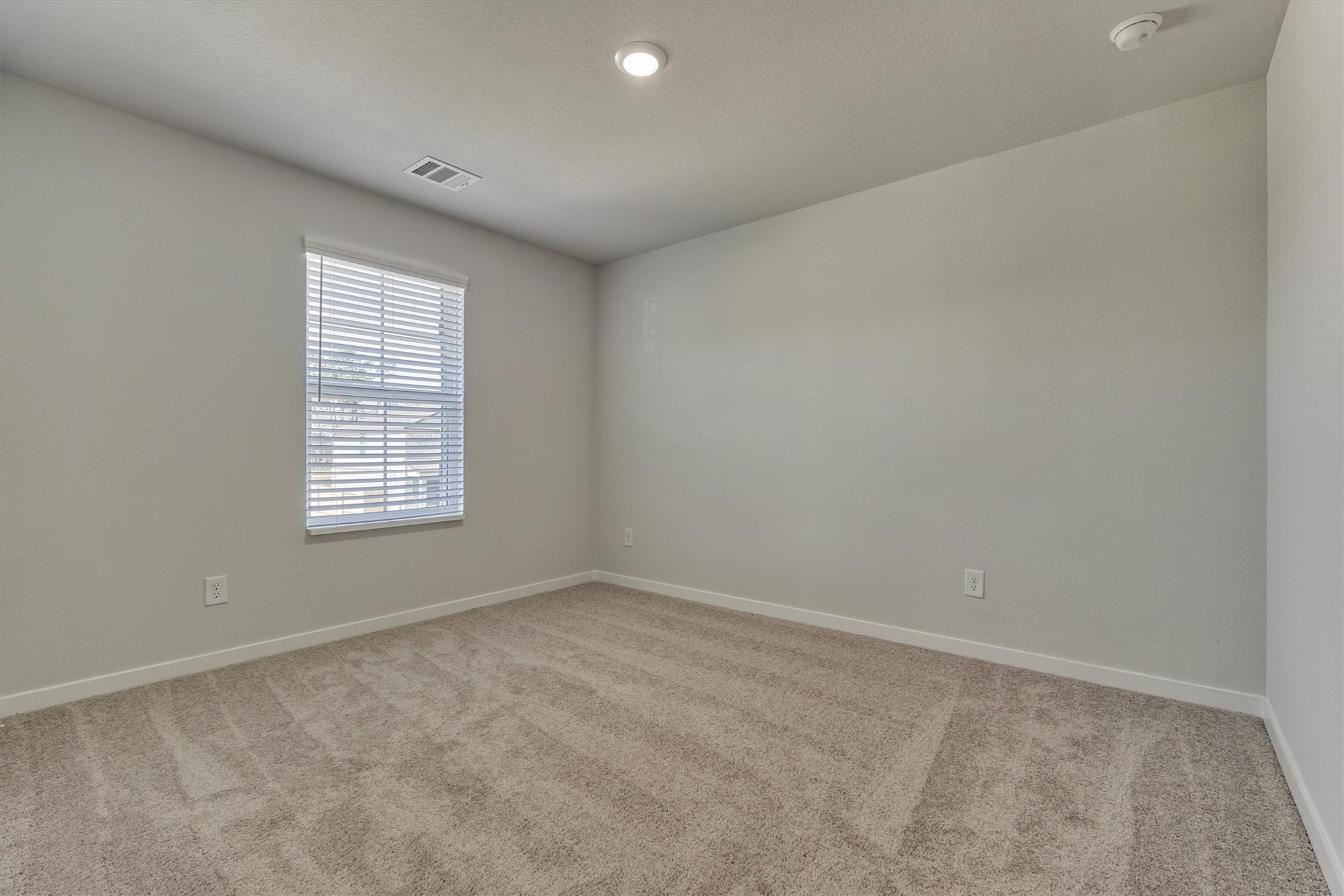 294 Brazen Forest Trail