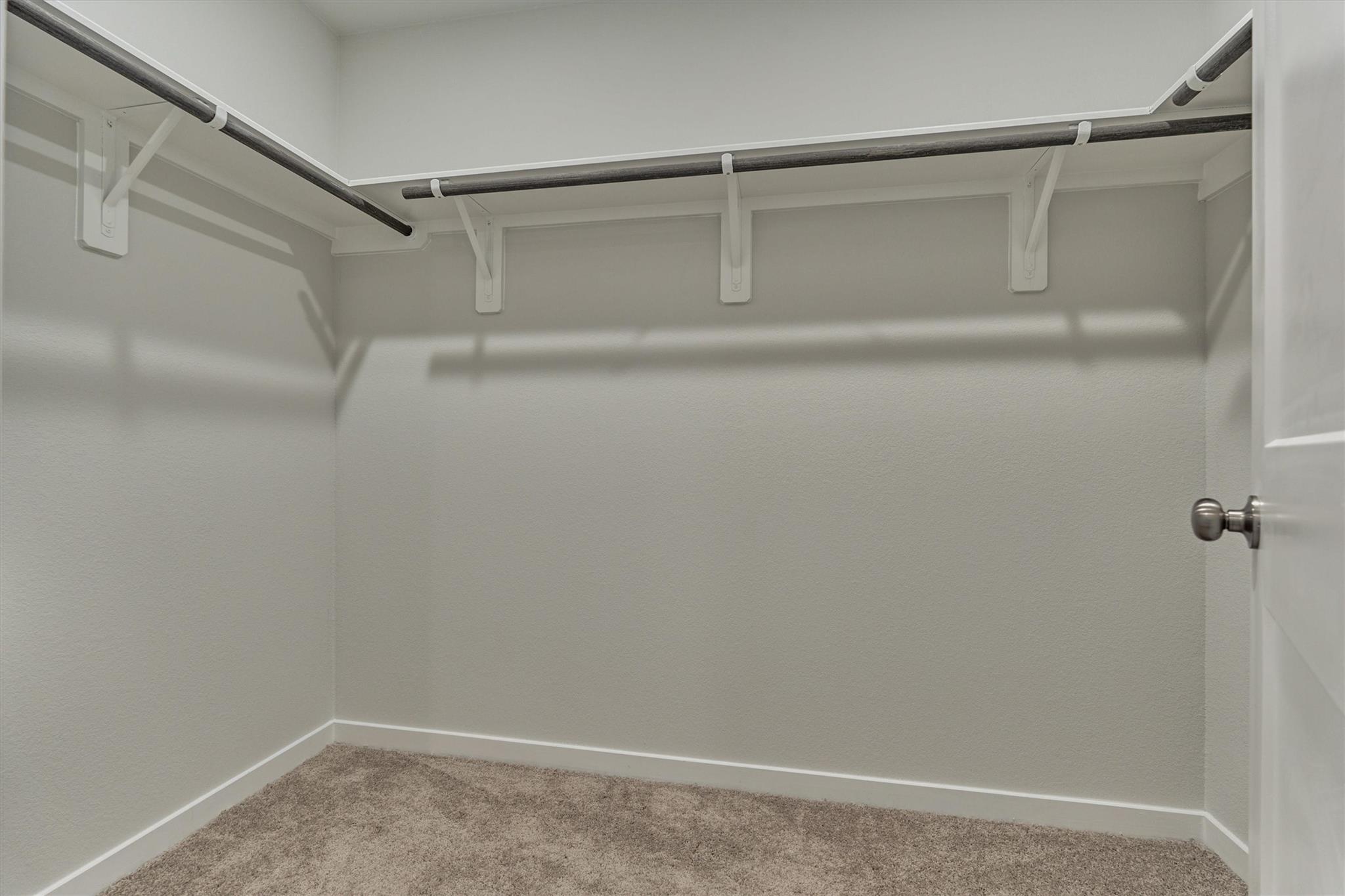 294 Brazen Forest Trail