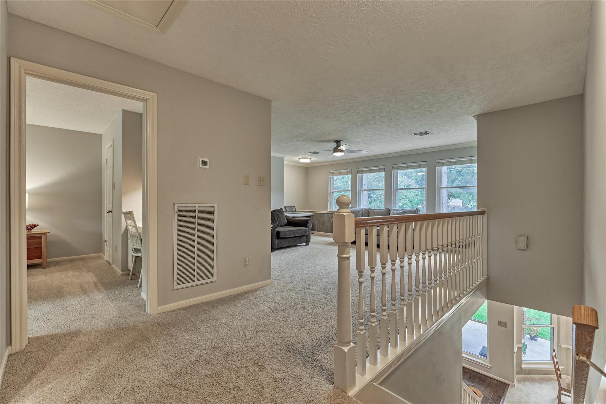 14 Feather Branch Court