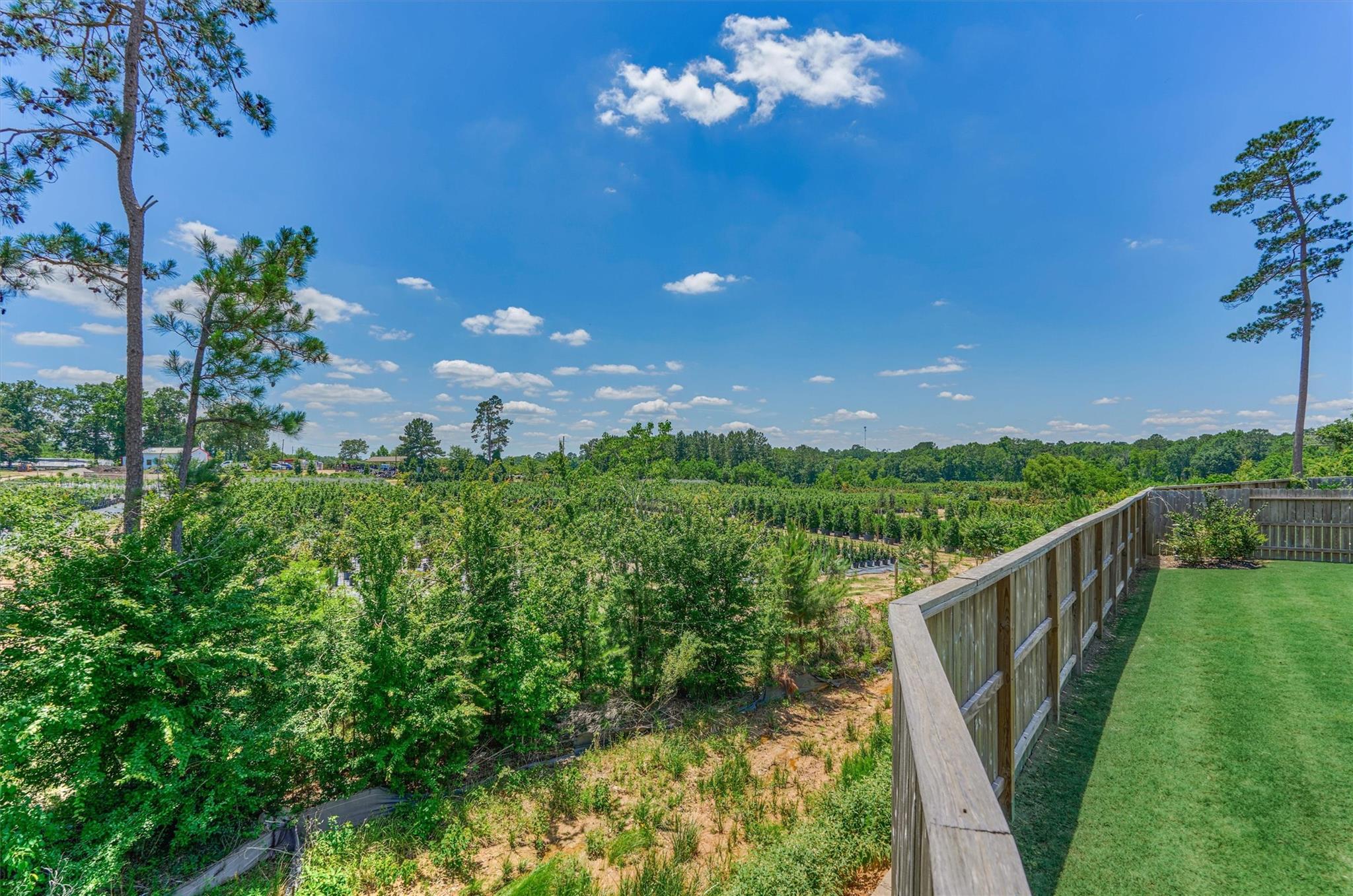 384 Mallorn Lane