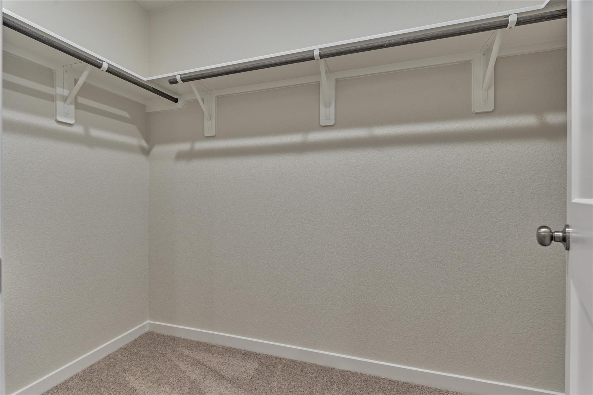 282 Brazen Forest Trail