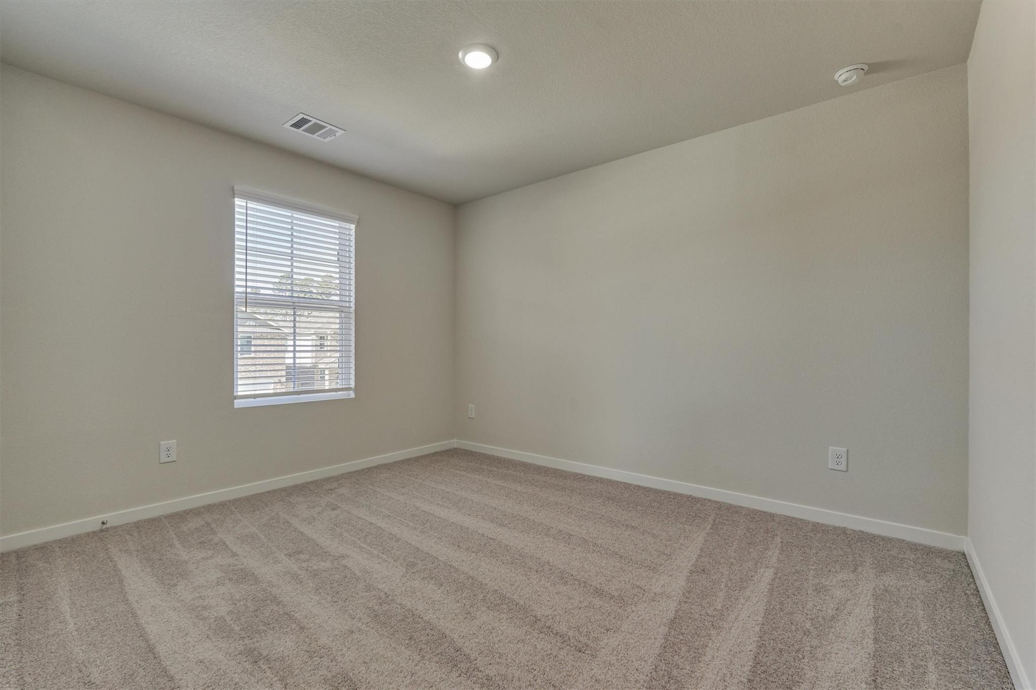 282 Brazen Forest Trail