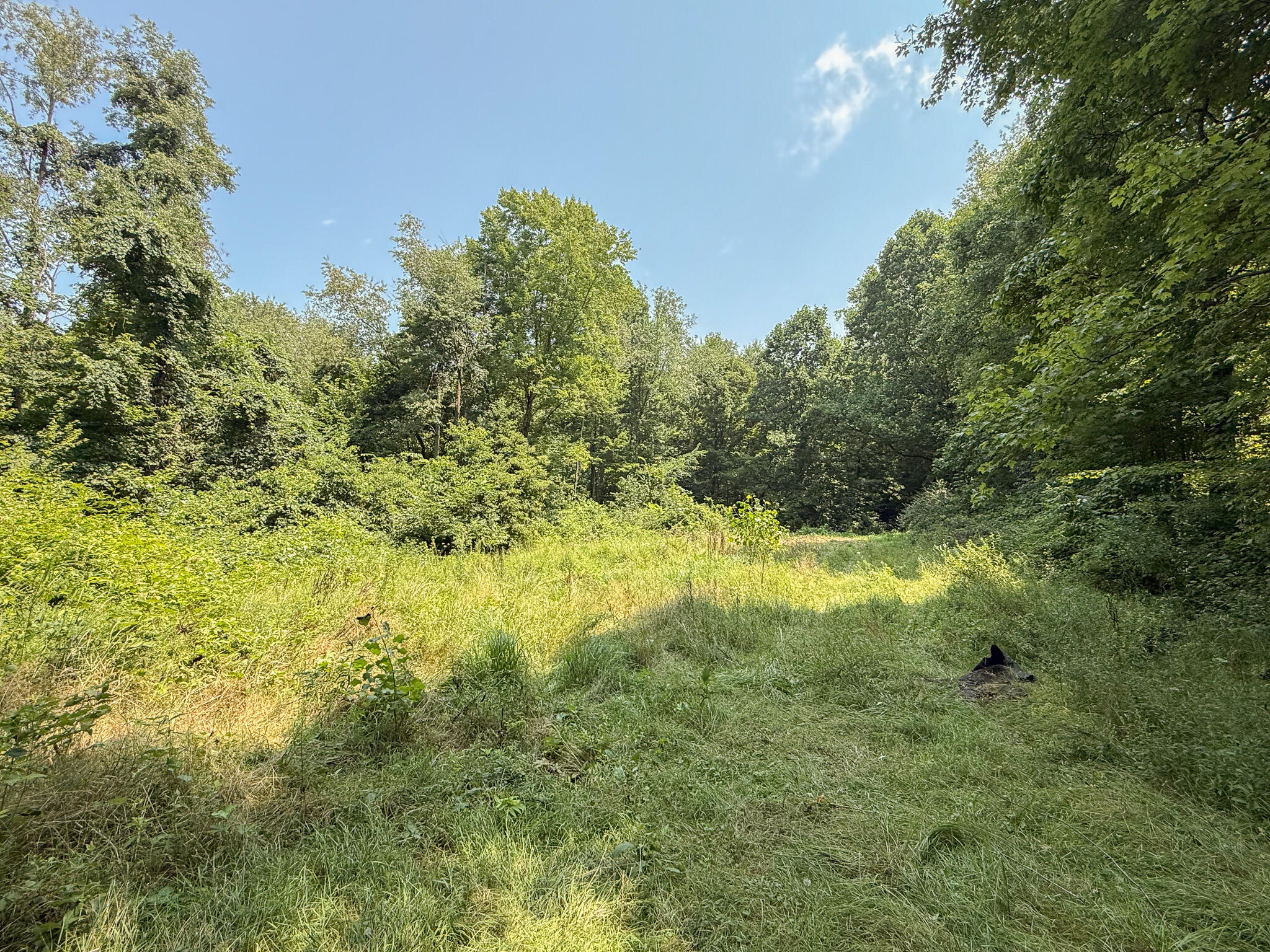 63467 Day Lake Road