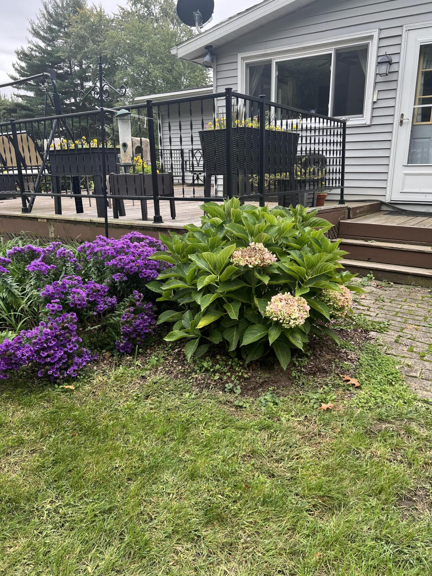 28860 Sarabyn Street