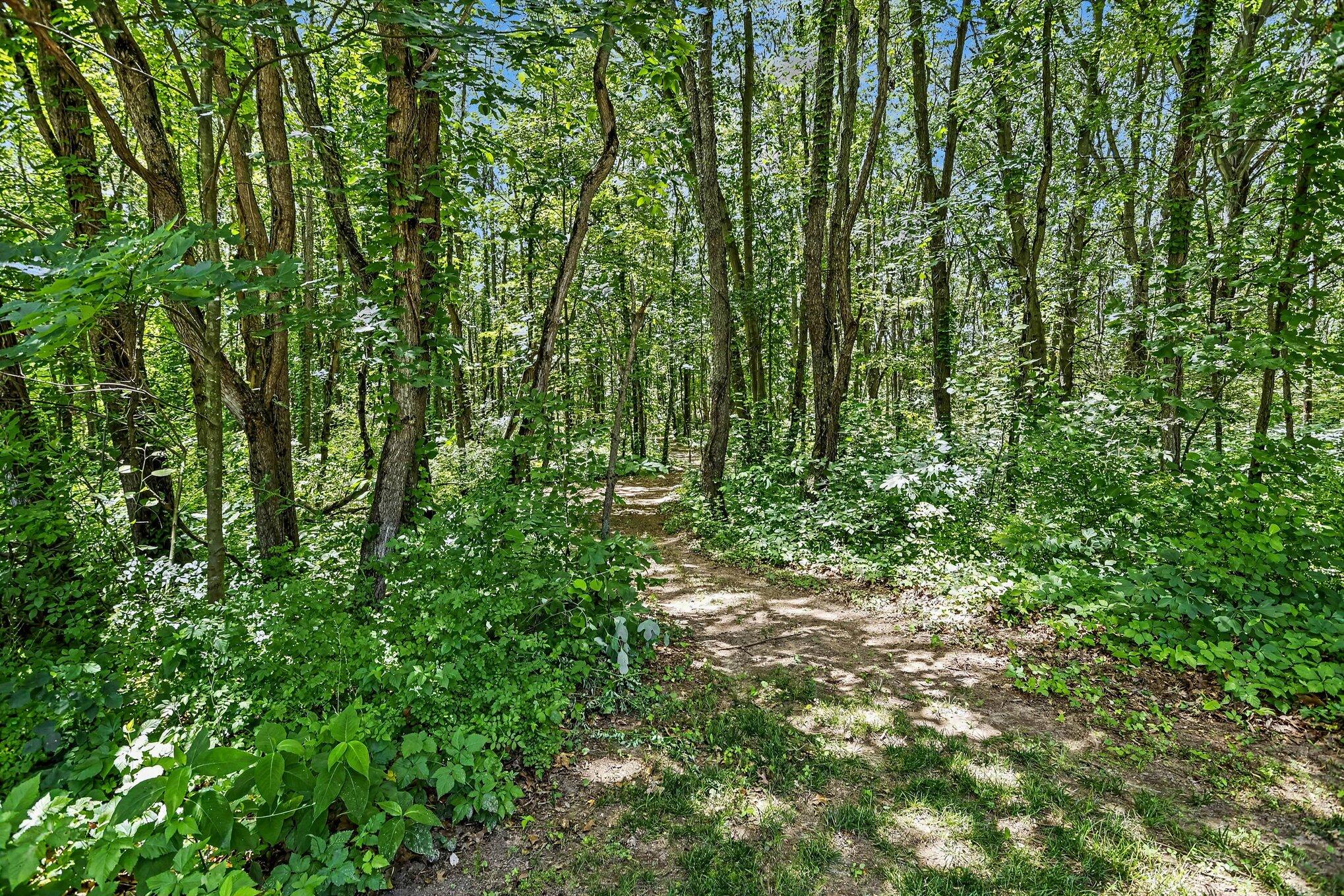 86960 County Road 681