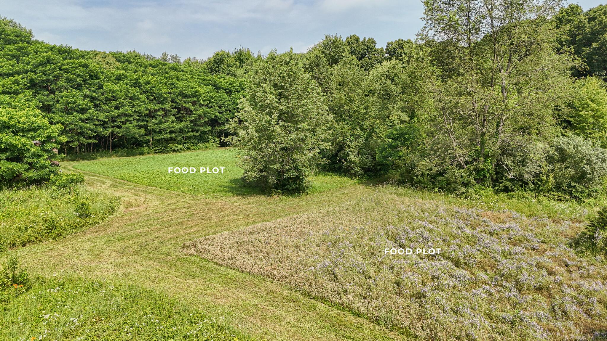 86960 County Road 681