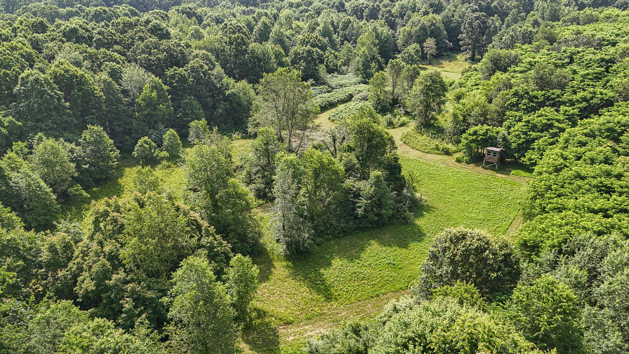 86960 County Road 681