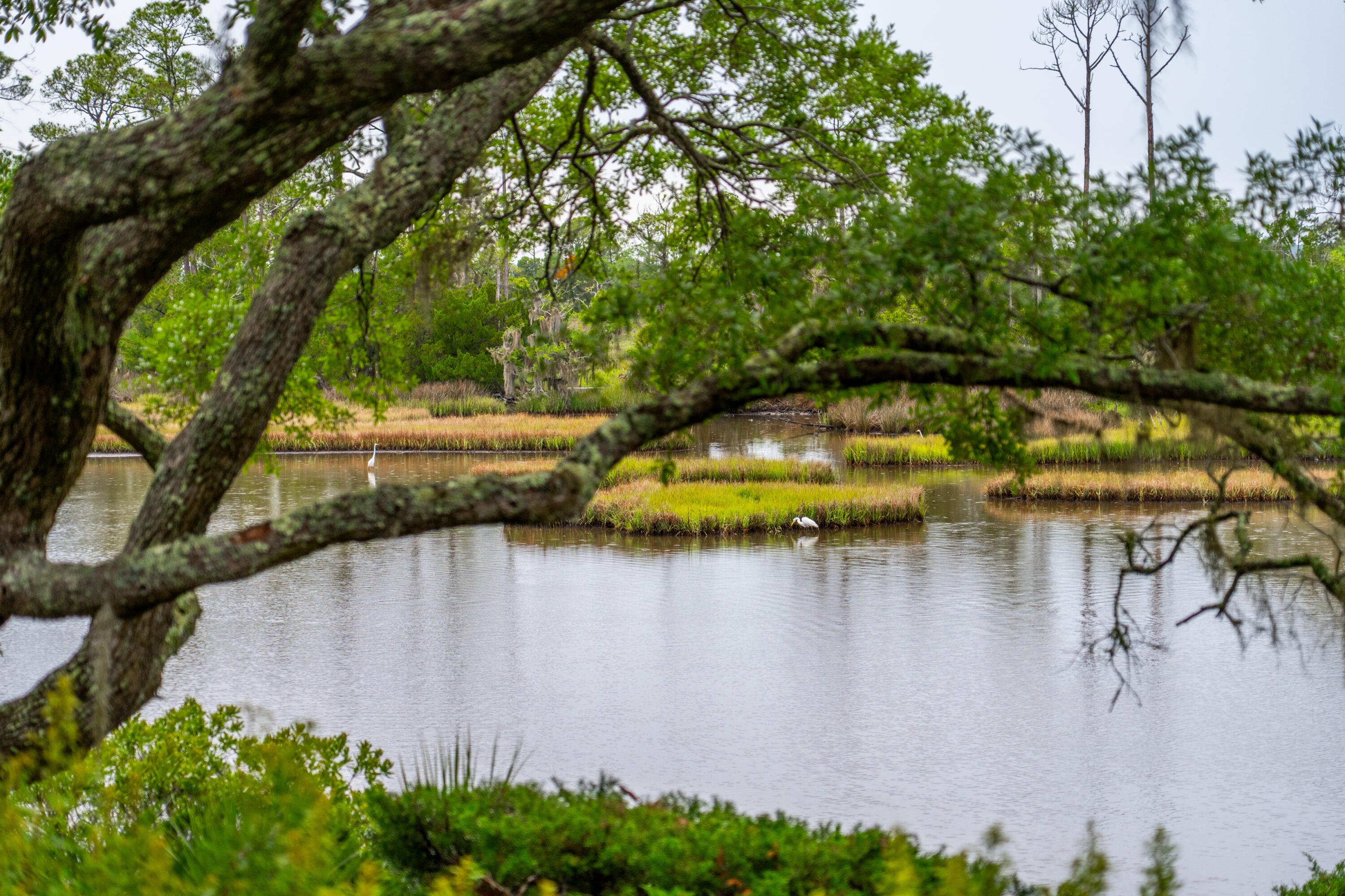 127 Blue Heron Pond Road # A
