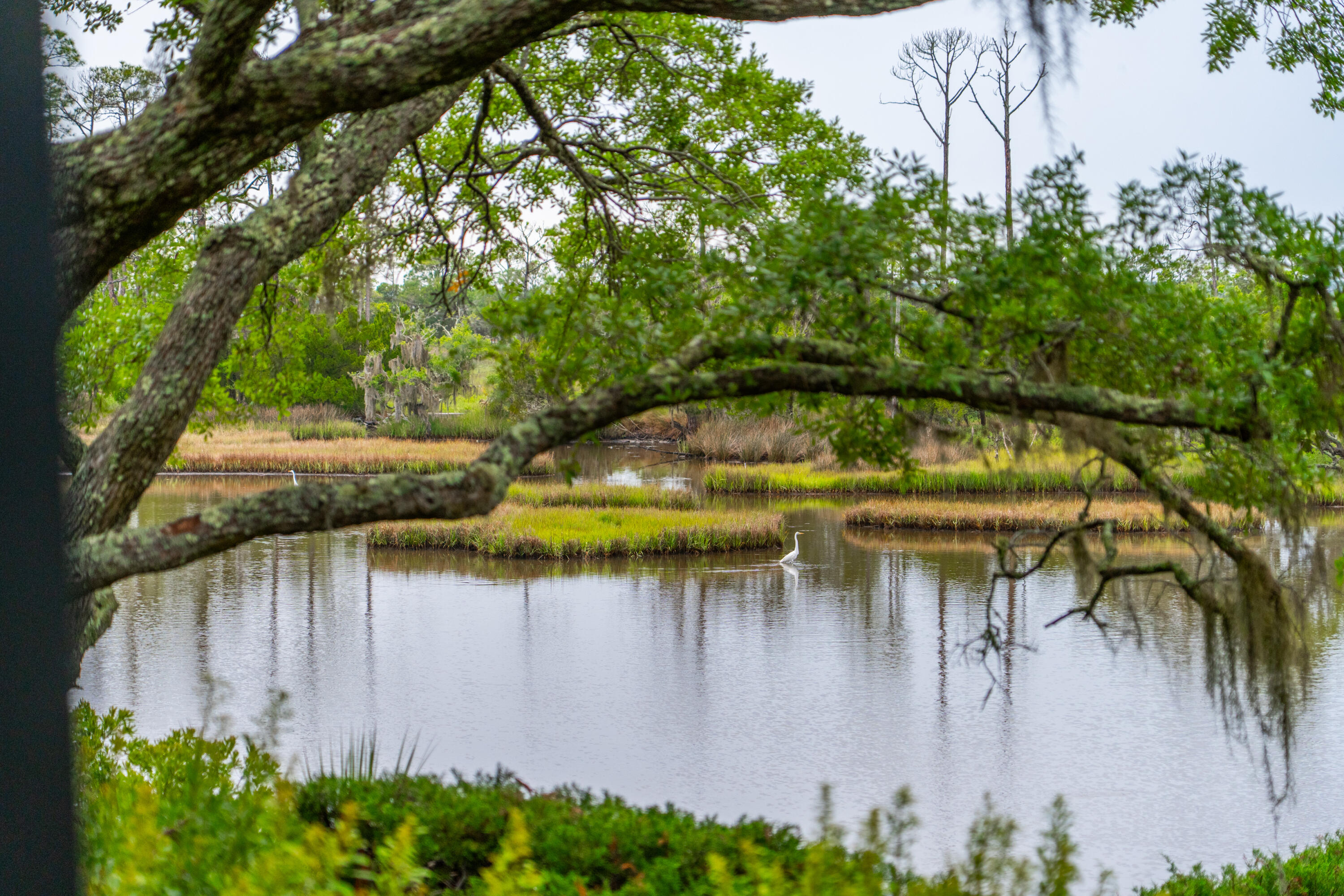 127 Blue Heron Pond Road # C